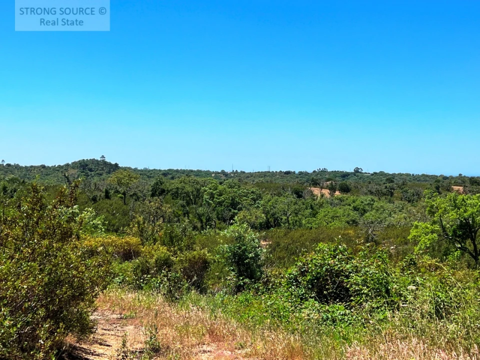 Terreno para Venda em Melides Foto 10