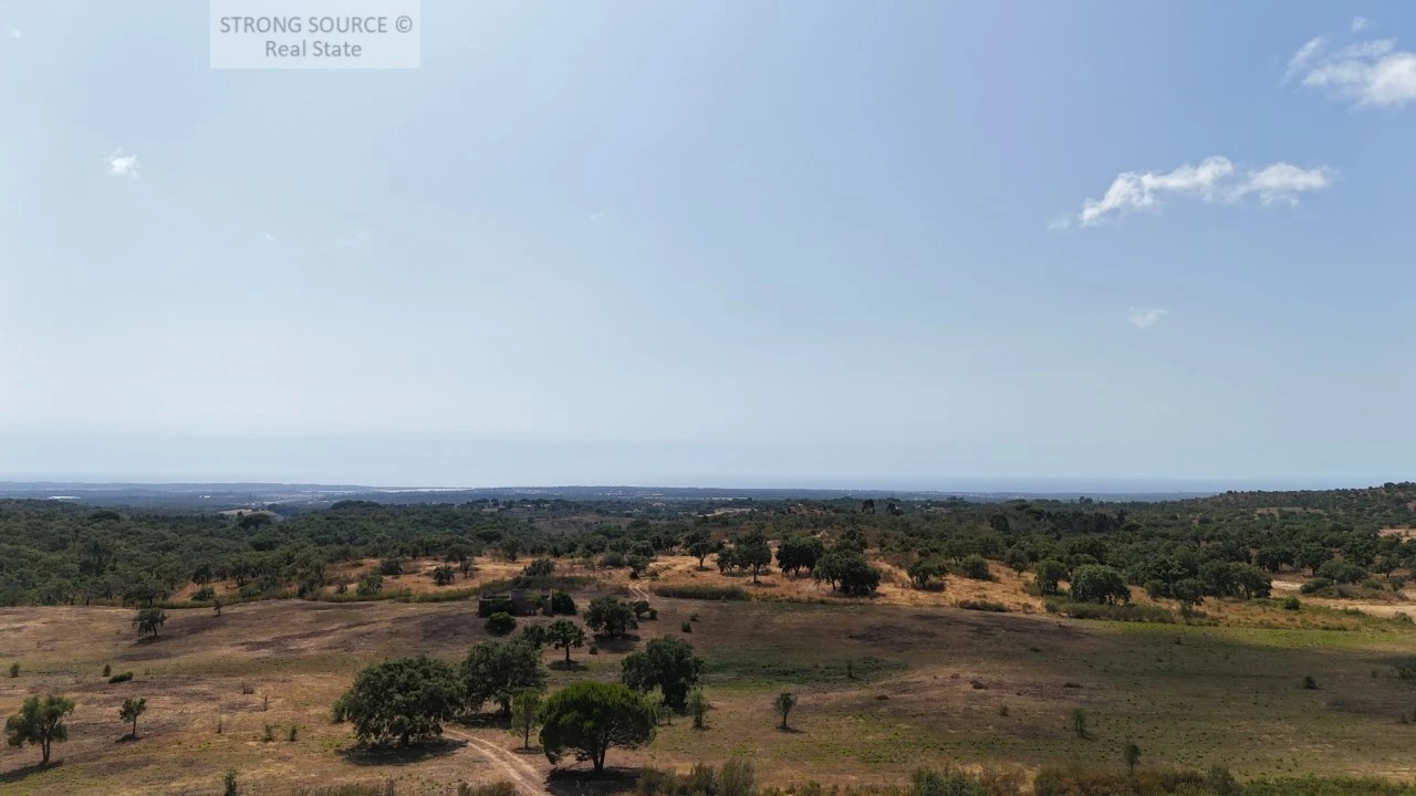 Terreno para Venda em Melides Foto 17