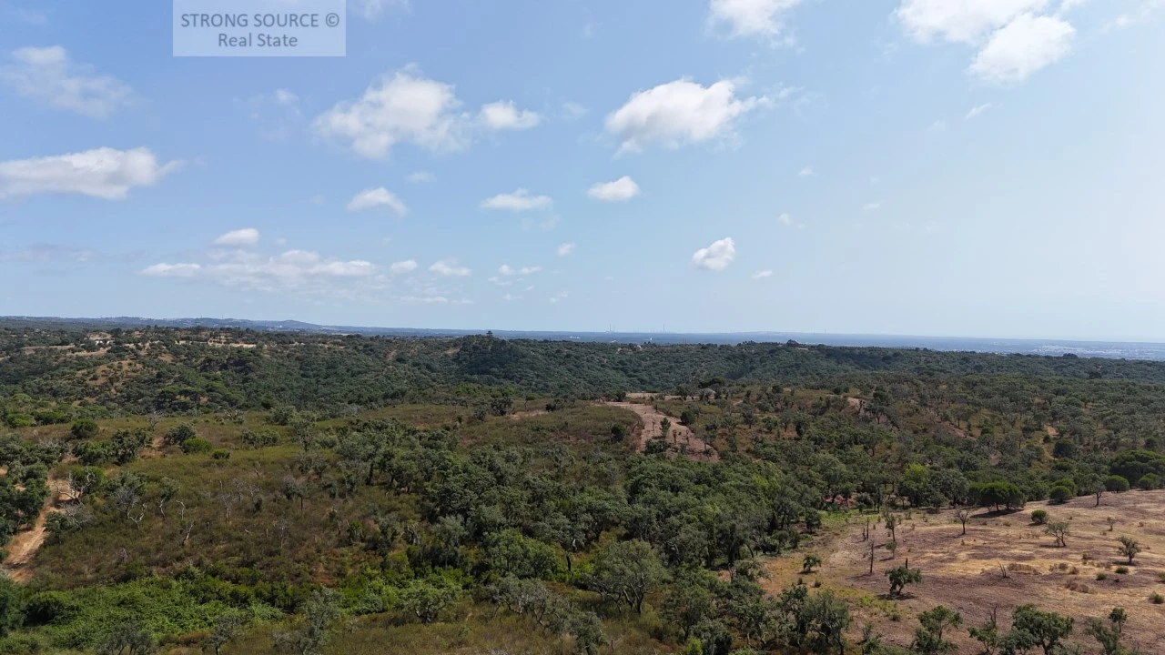 Terreno para Venda em Melides Foto 19