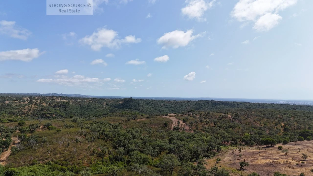 Terreno para Venda em Melides Foto 20