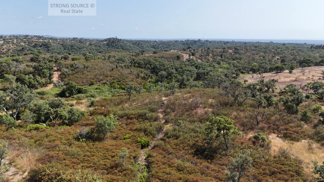 Terreno para Venda em Melides Foto 27