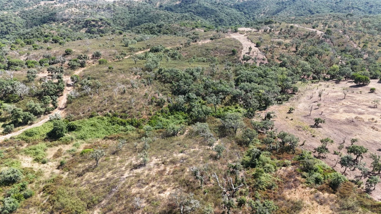 Terreno para Venda em Melides Foto 29