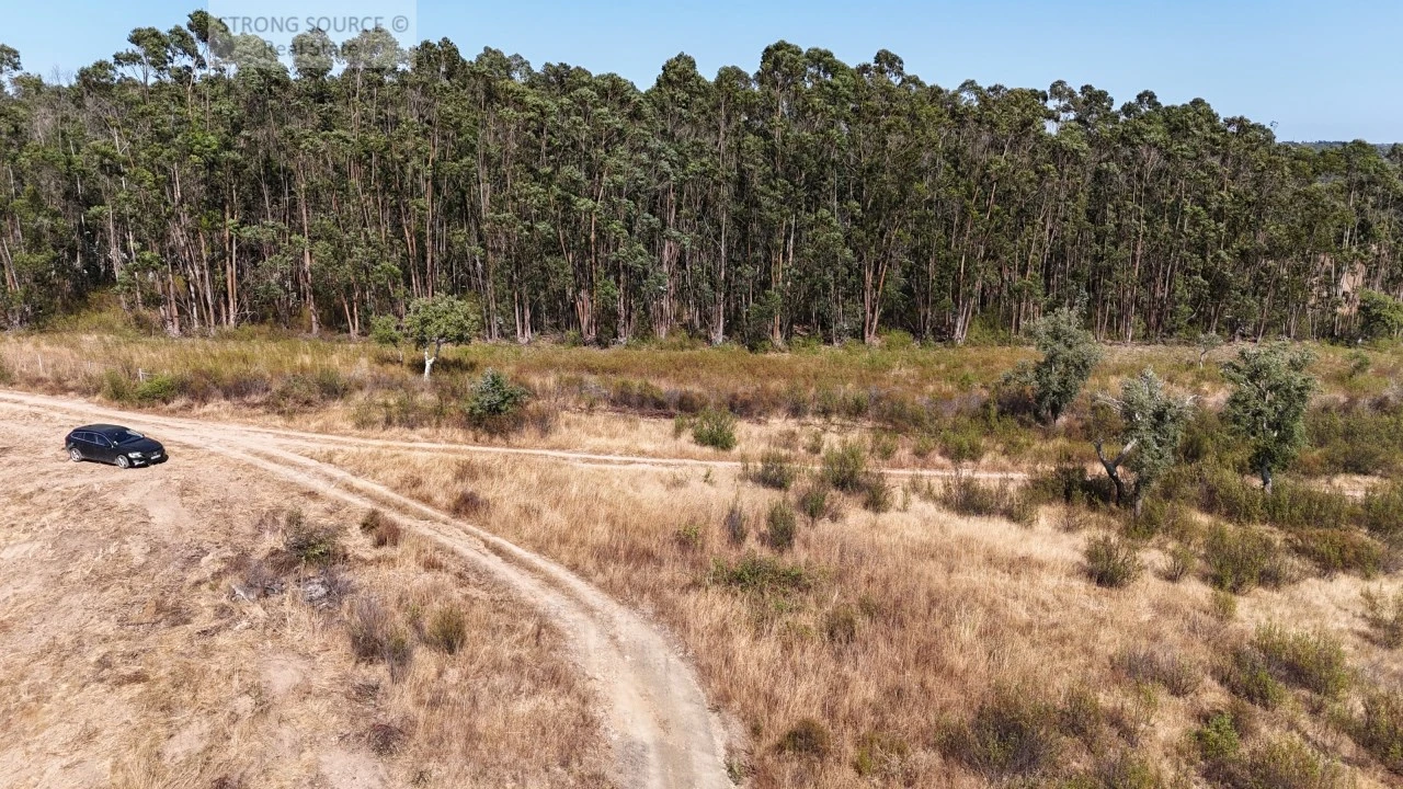 Terreno para Venda em Melides Foto 31