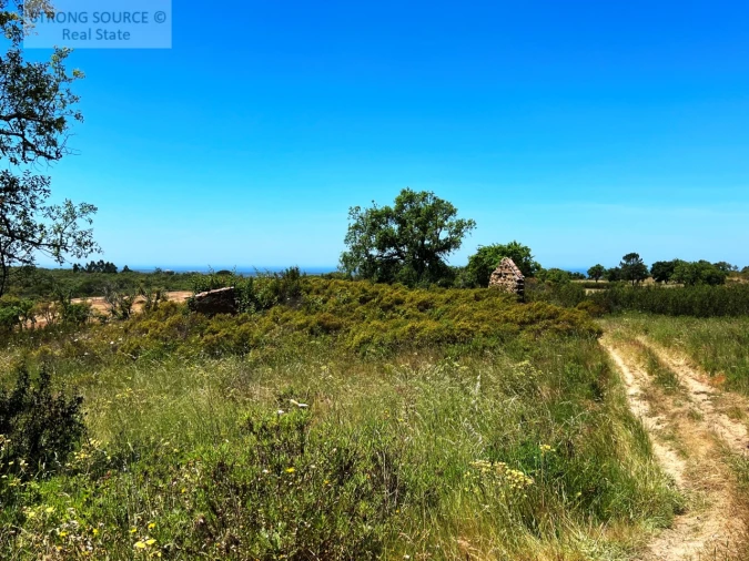 Terreno para Venda em Melides Foto 5
