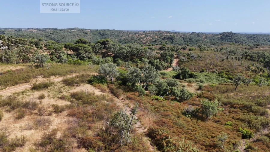 Terreno para Venda em Melides Foto 28