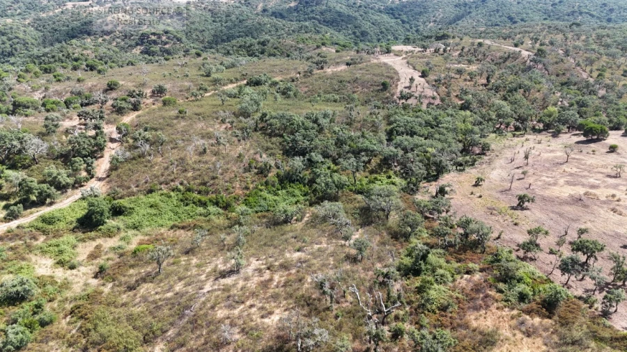 Terreno para Venda em Melides Foto 29