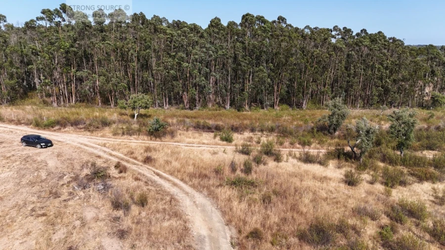 Terreno para Venda em Melides Foto 31