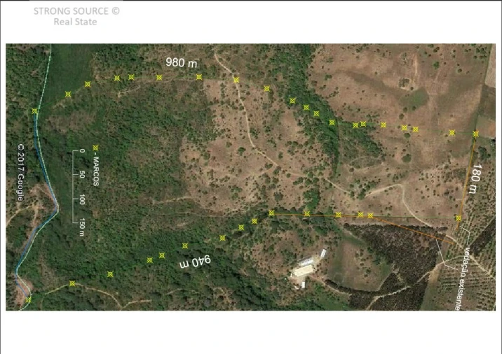 Terreno para Venda em Melides Foto 32