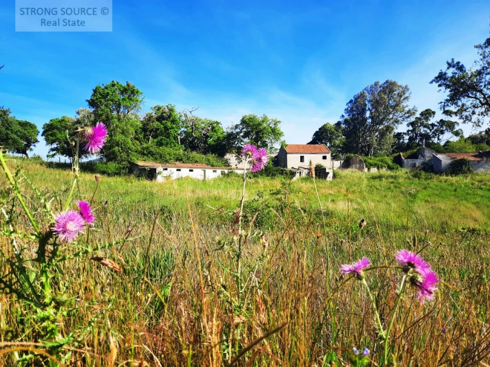 Quinta T6 para Venda em Milharado Foto 17