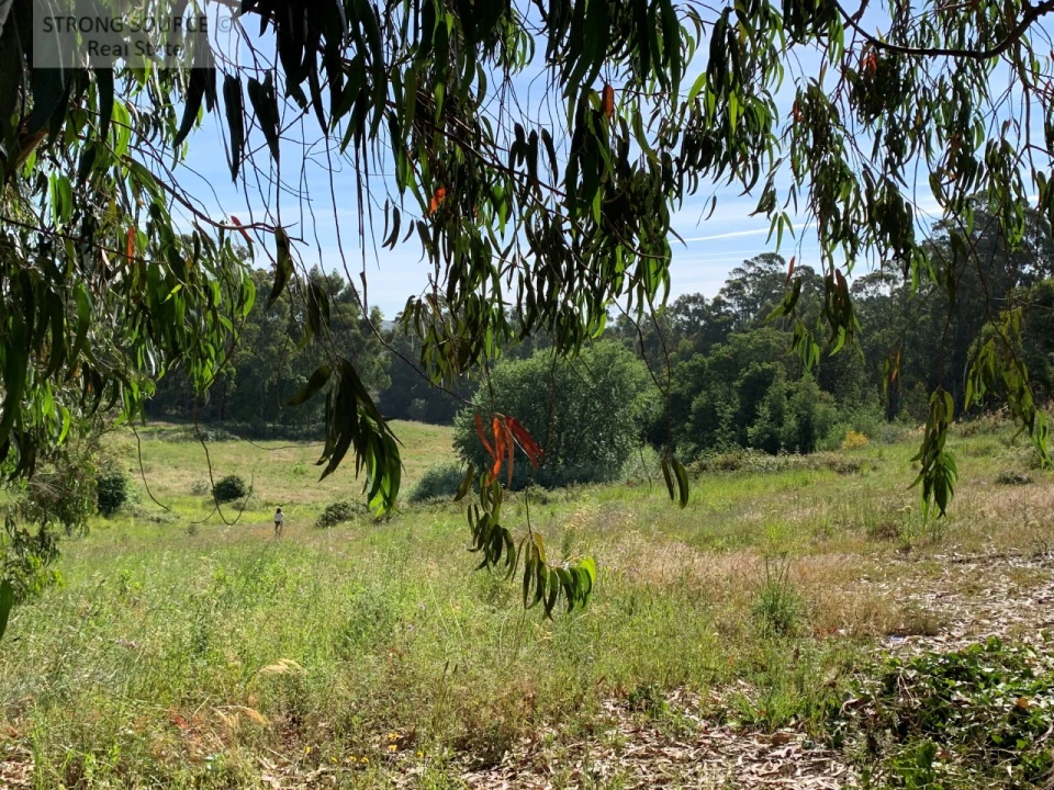 Quinta T6 para Venda em Milharado Foto 27