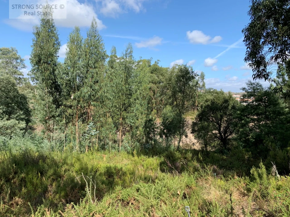 Quinta T6 para Venda em Milharado Foto 32