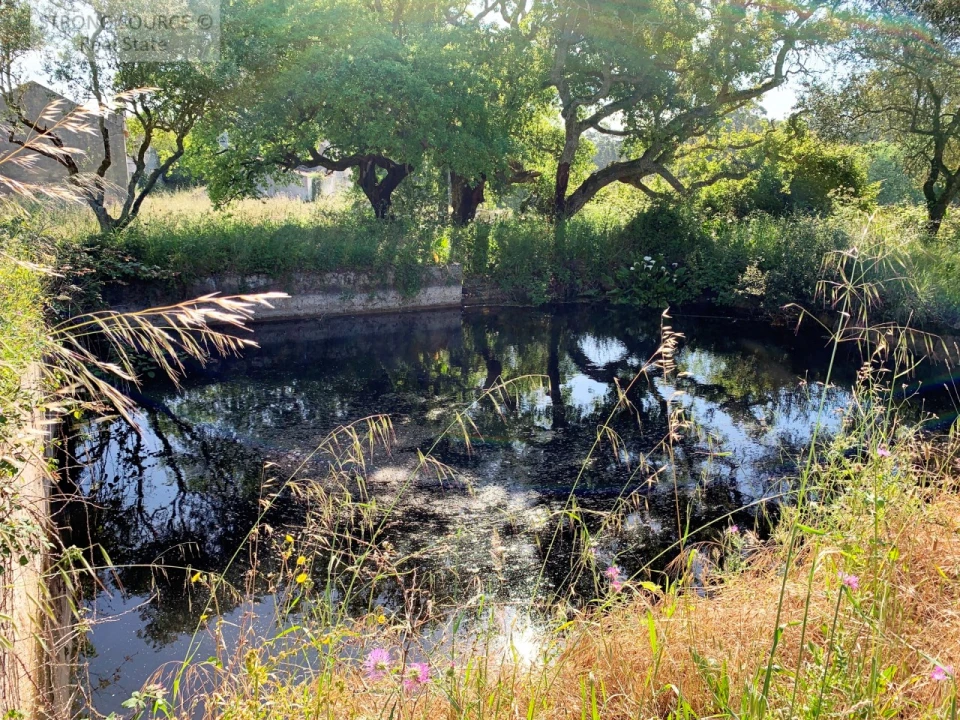 Quinta T6 para Venda em Milharado Foto 14