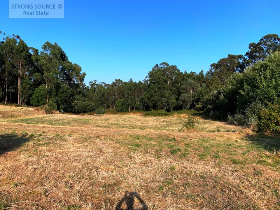 Quinta T6 para Venda em Milharado Foto 9