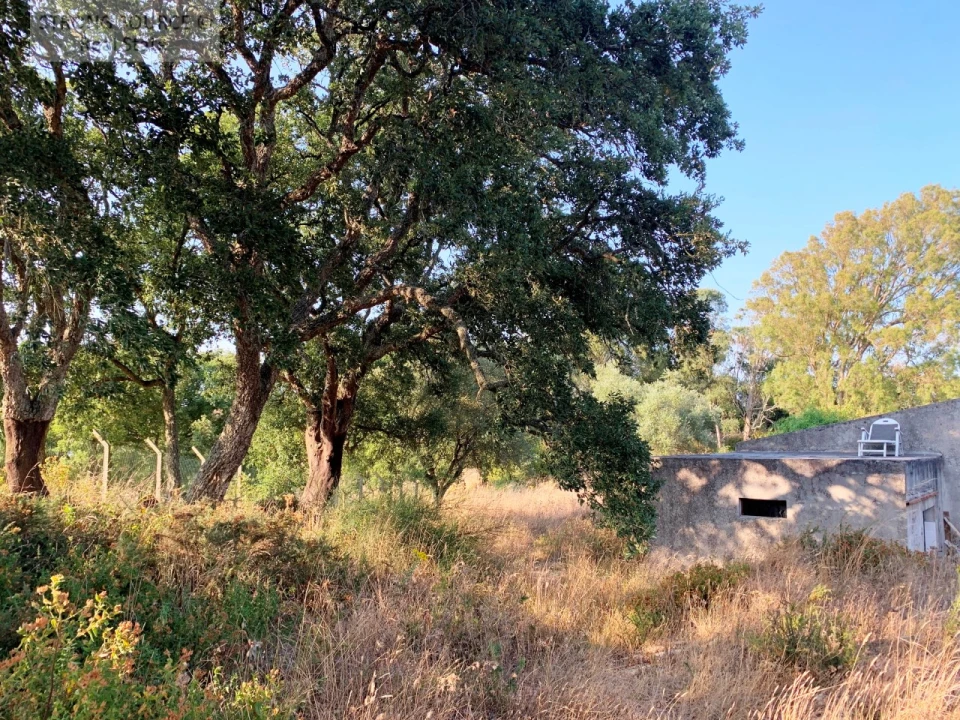 Quinta T6 para Venda em Milharado Foto 18