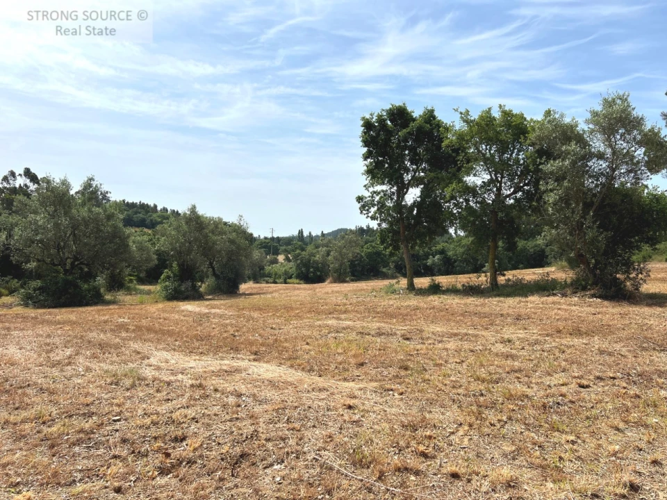 Quinta T6 para Venda em Milharado Foto 34