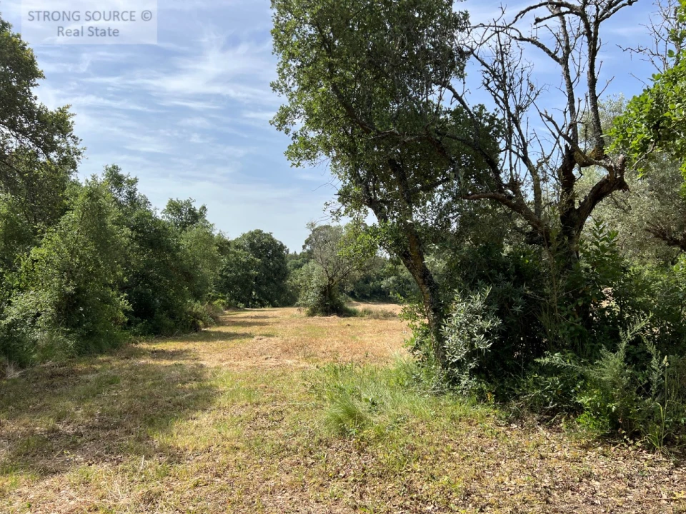 Quinta T6 para Venda em Milharado Foto 38