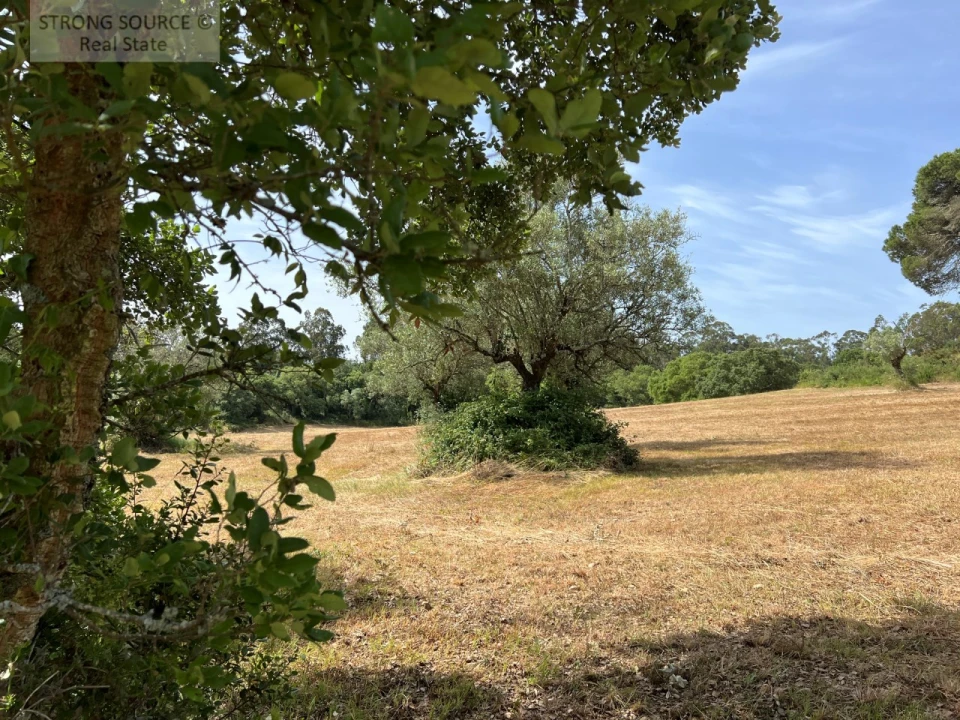 Quinta T6 para Venda em Milharado Foto 39