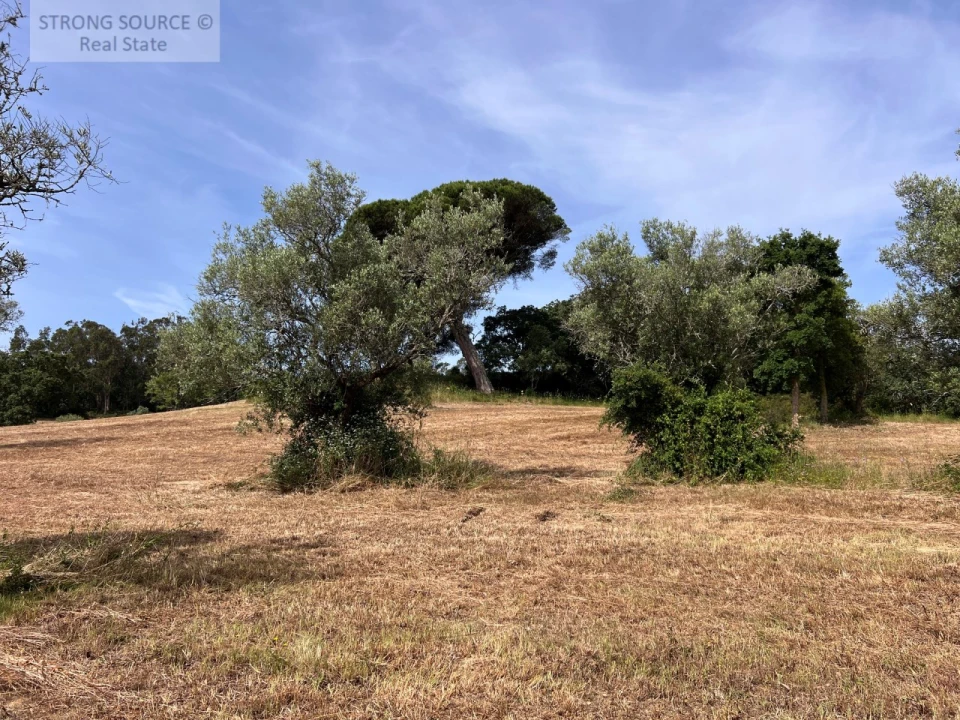 Quinta T6 para Venda em Milharado Foto 41