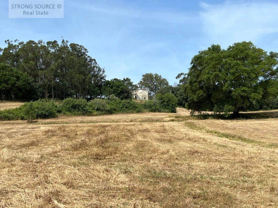 Quinta T6 para Venda em Milharado Foto 52