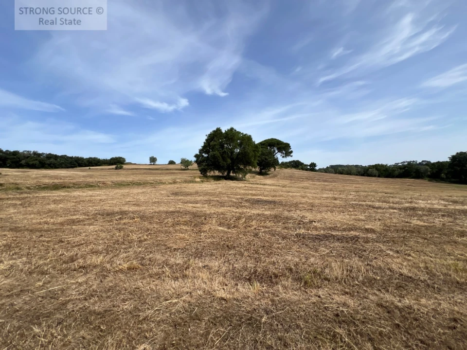 Quinta T6 para Venda em Milharado Foto 54