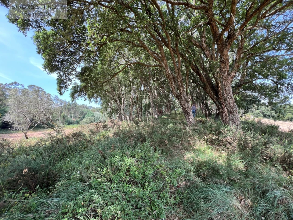 Quinta T6 para Venda em Milharado Foto 57