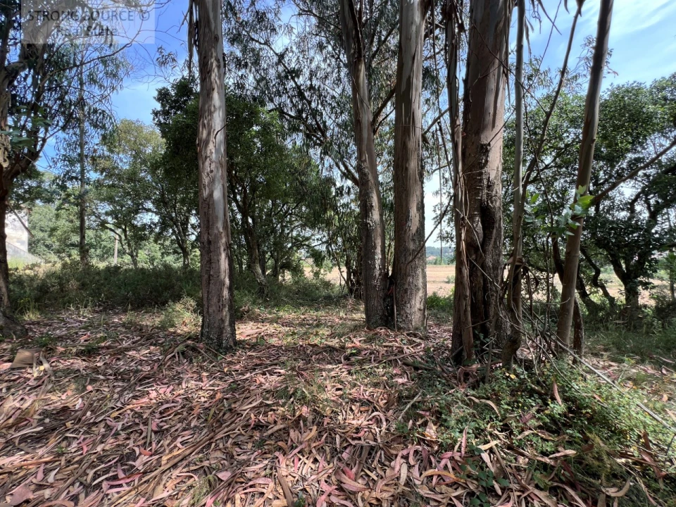 Quinta T6 para Venda em Milharado Foto 59