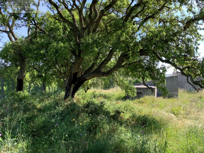 Quinta T6 para Venda em Milharado Foto 29