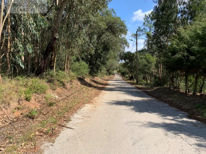 Quinta T6 para Venda em Milharado Foto 69