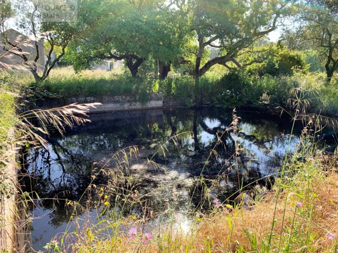 Quinta T6 para Venda em Milharado Foto 14