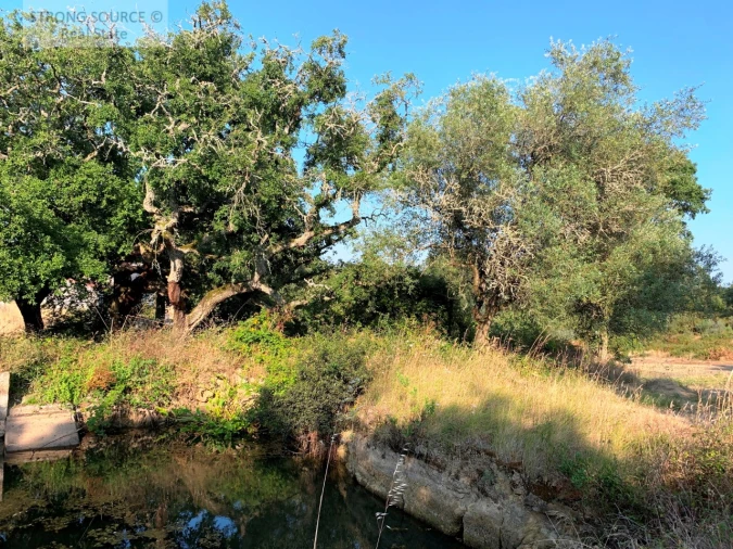 Quinta T6 para Venda em Milharado Foto 15