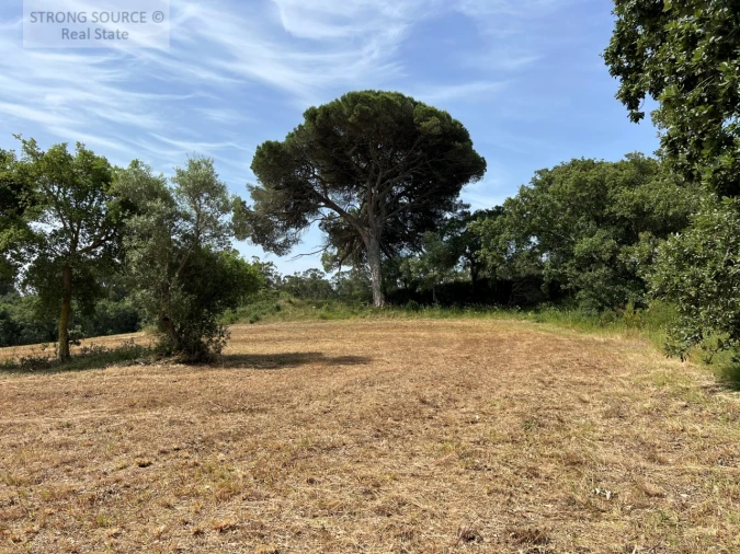 Quinta T6 para Venda em Milharado Foto 33