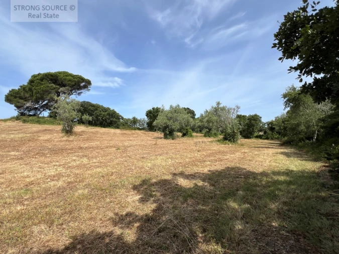 Quinta T6 para Venda em Milharado Foto 44