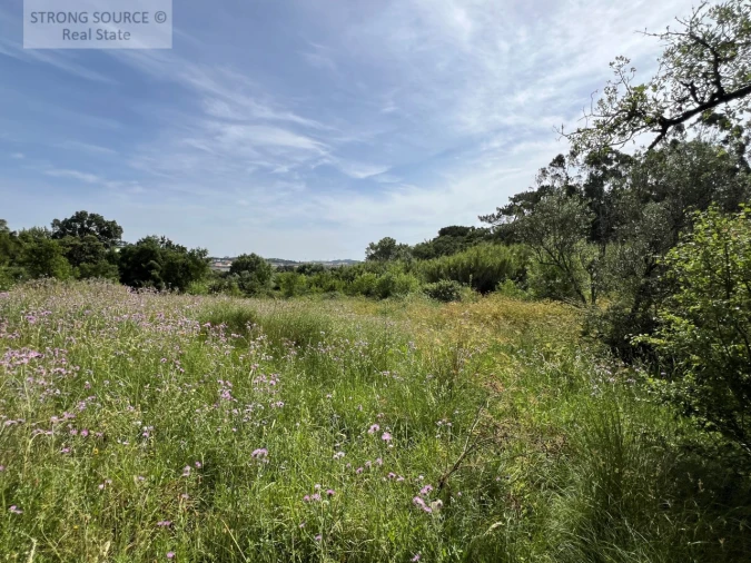 Quinta T6 para Venda em Milharado Foto 47