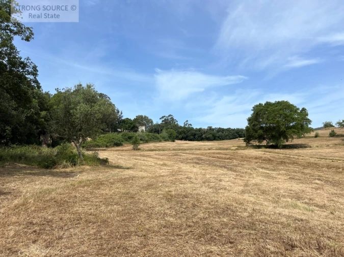 Quinta T6 para Venda em Milharado Foto 53