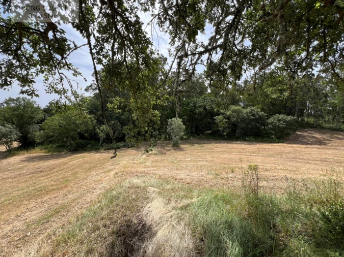 Quinta T6 para Venda em Milharado Foto 56