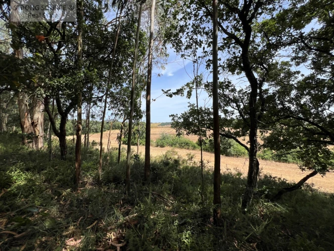 Quinta T6 para Venda em Milharado Foto 58