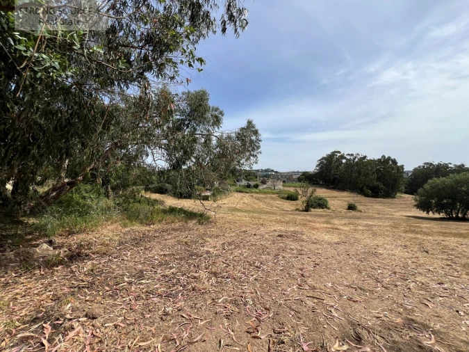 Quinta T6 para Venda em Milharado Foto 61