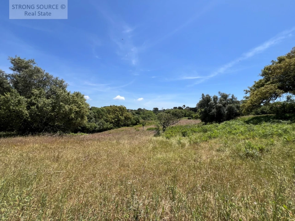 Terreno Misto para Venda em Sesimbra (Castelo) Foto 48