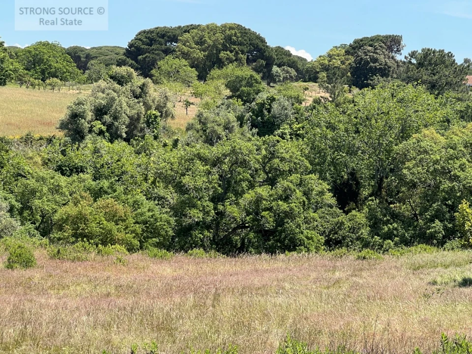Terreno Misto para Venda em Sesimbra (Castelo) Foto 52