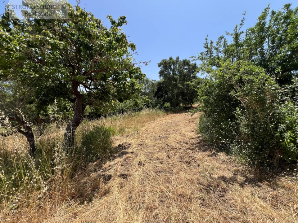 Terreno Misto para Venda em Sesimbra (Castelo) Foto 3