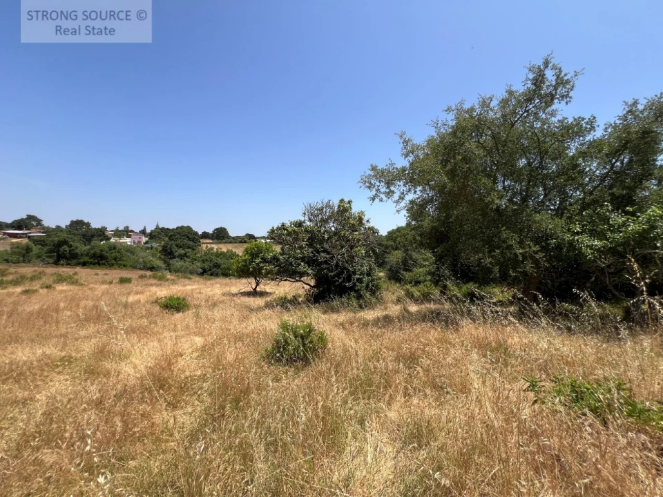 Terreno Misto para Venda em Sesimbra (Castelo) Foto 6