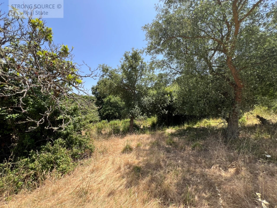 Terreno Misto para Venda em Sesimbra (Castelo) Foto 7