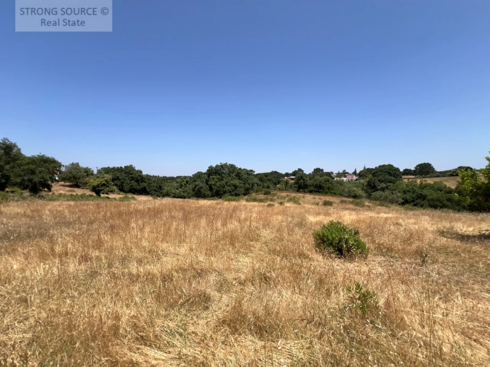 Terreno Misto para Venda em Sesimbra (Castelo) Foto 9