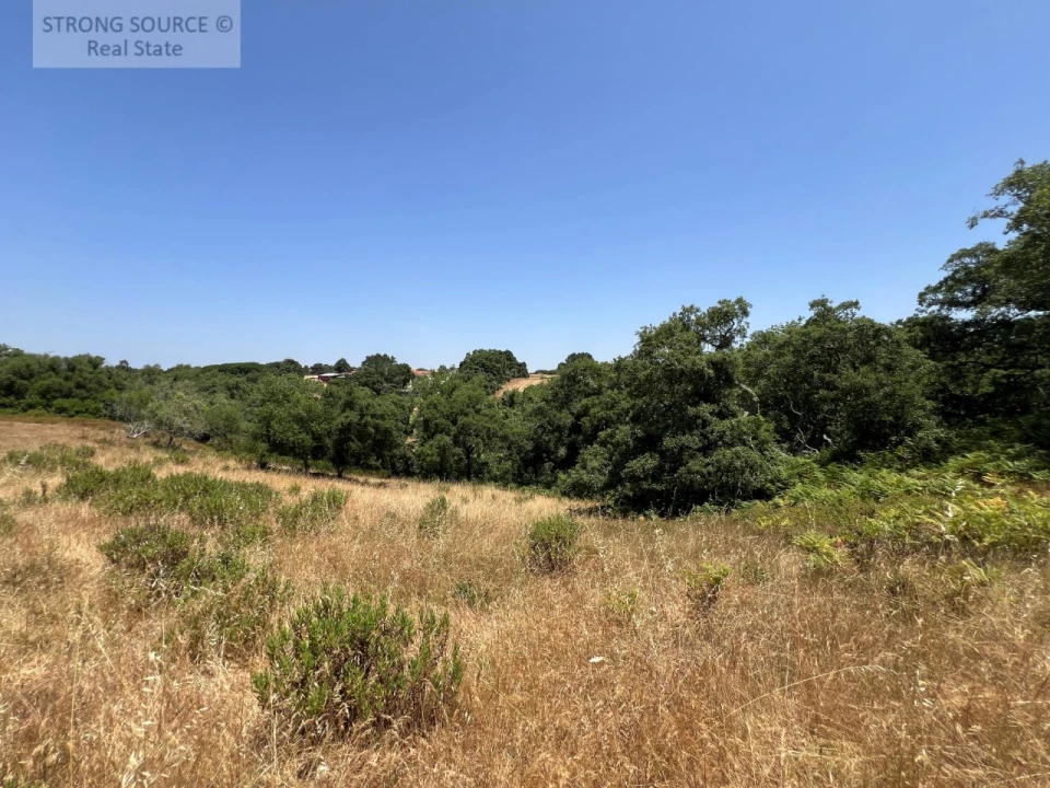 Terreno Misto para Venda em Sesimbra (Castelo) Foto 15