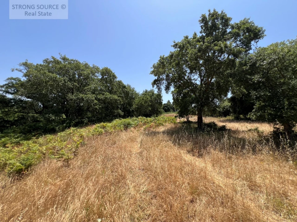 Terreno Misto para Venda em Sesimbra (Castelo) Foto 16