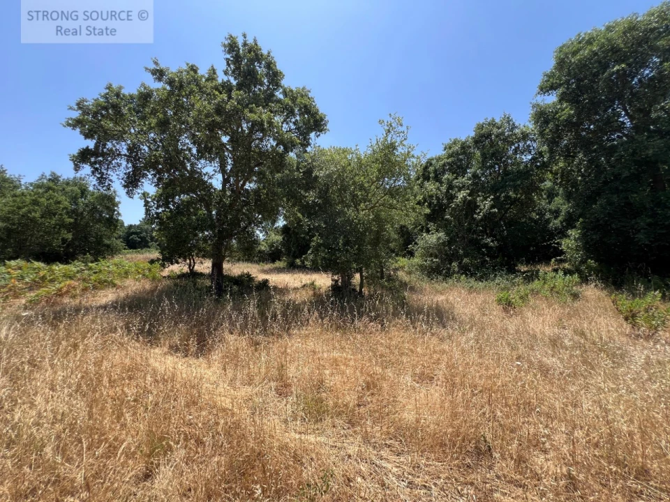 Terreno Misto para Venda em Sesimbra (Castelo) Foto 17