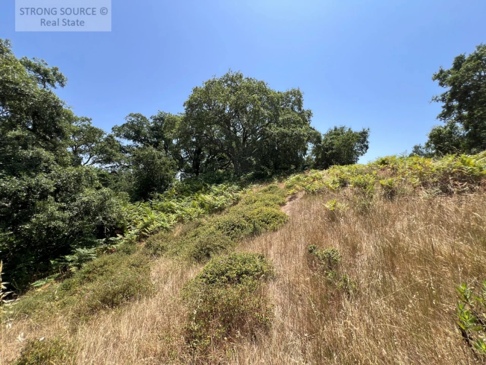 Terreno Misto para Venda em Sesimbra (Castelo) Foto 21