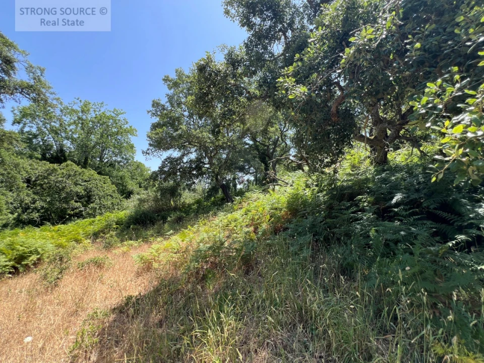 Terreno Misto para Venda em Sesimbra (Castelo) Foto 23