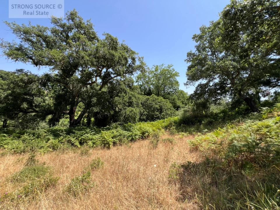 Terreno Misto para Venda em Sesimbra (Castelo) Foto 24