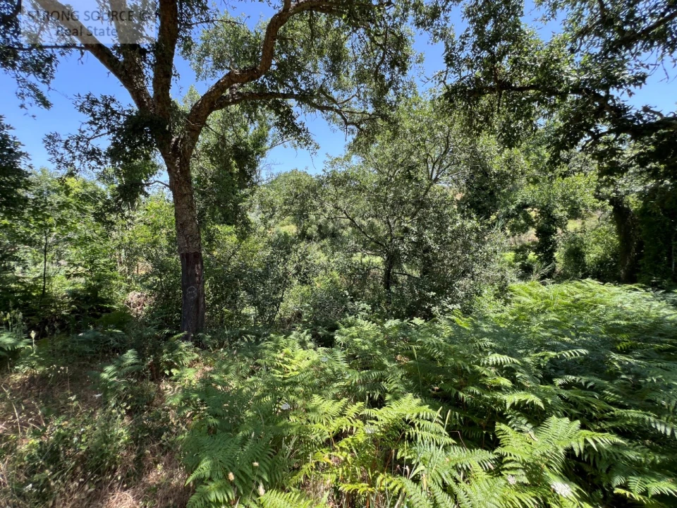 Terreno Misto para Venda em Sesimbra (Castelo) Foto 30
